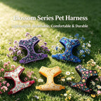 Blossom Series Floral Pet Harness & Leash Set