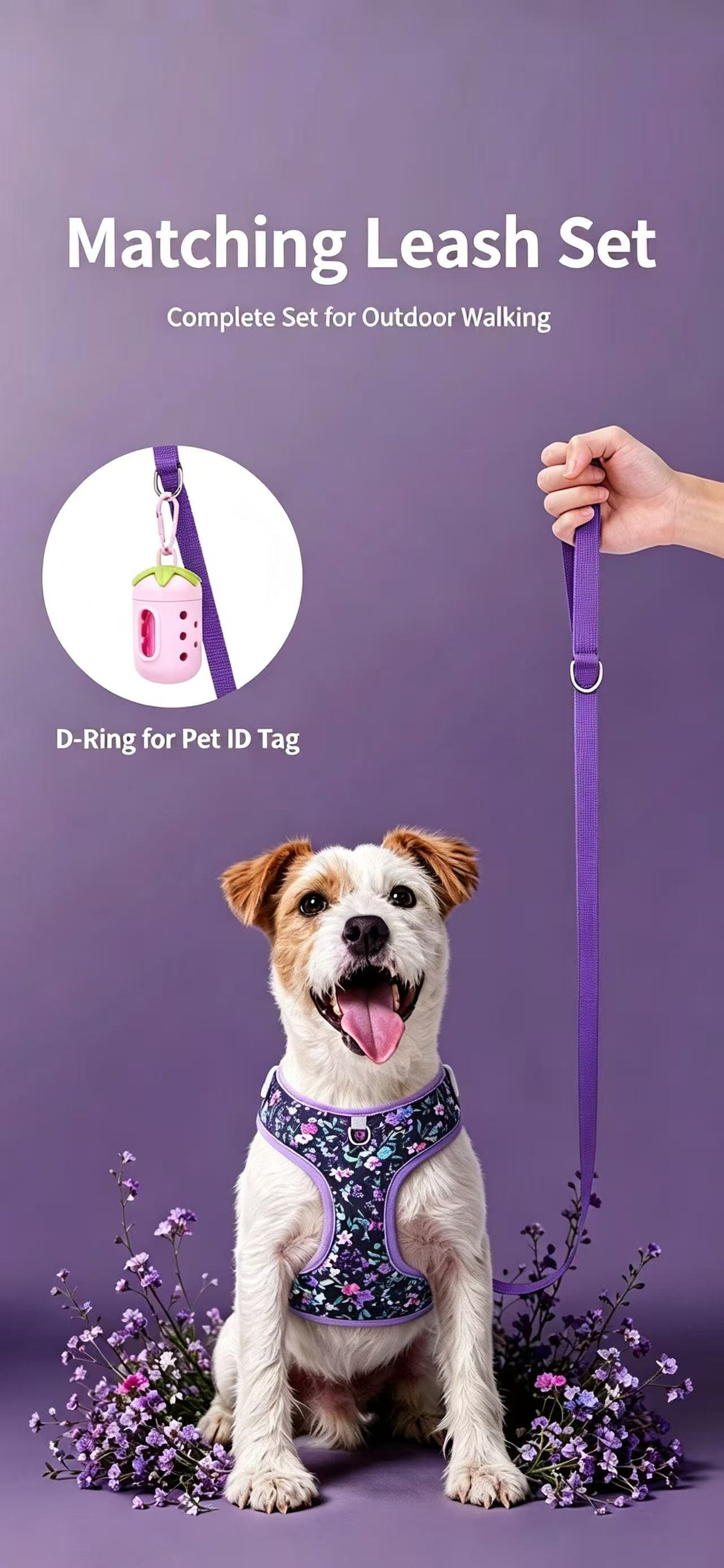 Blossom Series Floral Pet Harness & Leash Set
