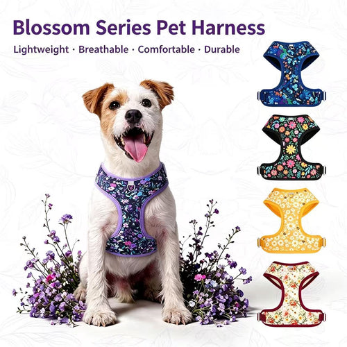 Blossom Series Floral Pet Harness & Leash Set
