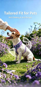 Blossom Series Floral Pet Harness & Leash Set