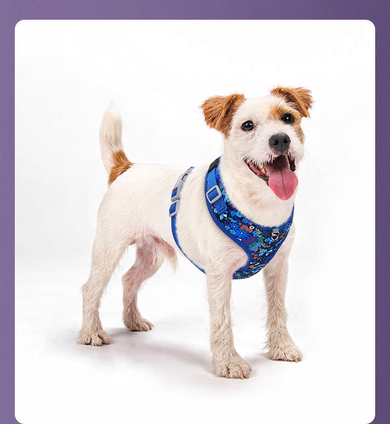 Blossom Series Floral Pet Harness & Leash Set