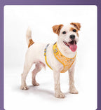 Blossom Series Floral Pet Harness & Leash Set