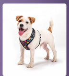 Blossom Series Floral Pet Harness & Leash Set