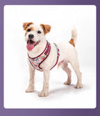 Blossom Series Floral Pet Harness & Leash Set