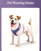 Blossom Series Floral Pet Harness & Leash Set