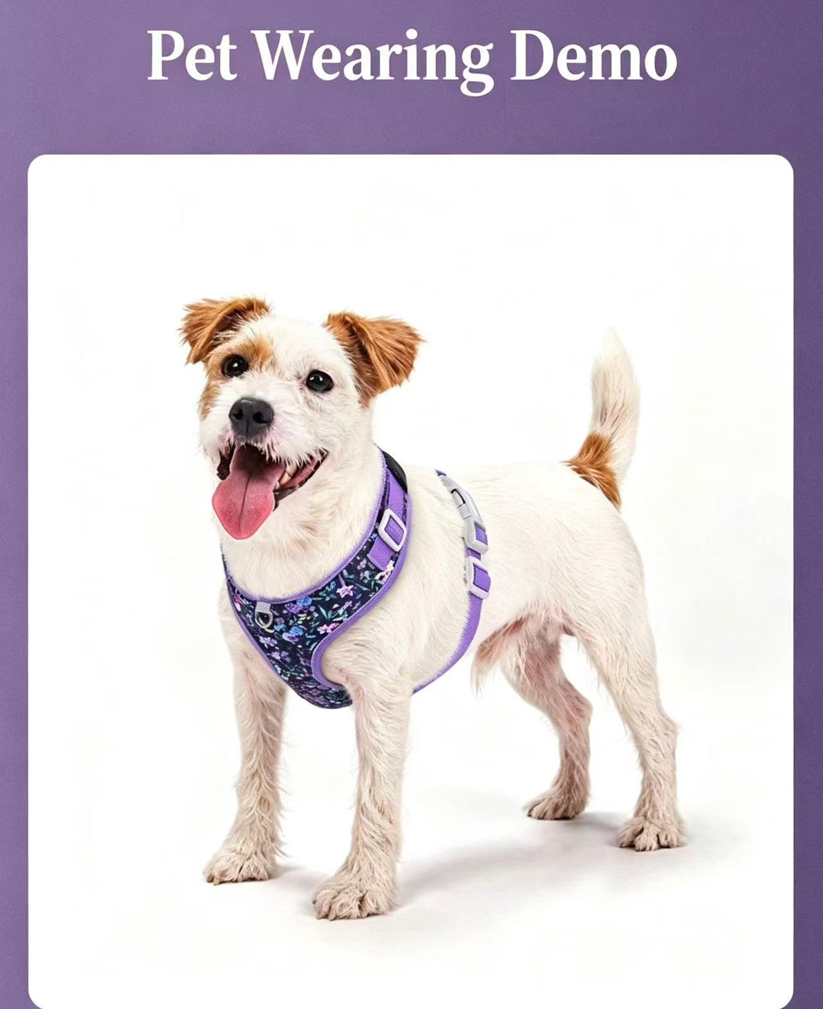 Blossom Series Floral Pet Harness & Leash Set