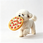 Soft Squeaky Dog Toys – Pizza & Lion Interactive Plush Toys