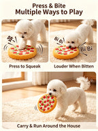 Soft Squeaky Dog Toys – Pizza & Lion Interactive Plush Toys